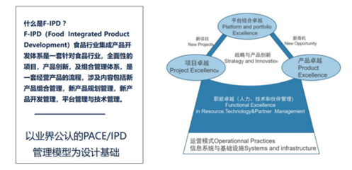 F-IPD咨詢項(xiàng)目正式啟動(dòng) 優(yōu)化投資管理的戰(zhàn)略新篇章